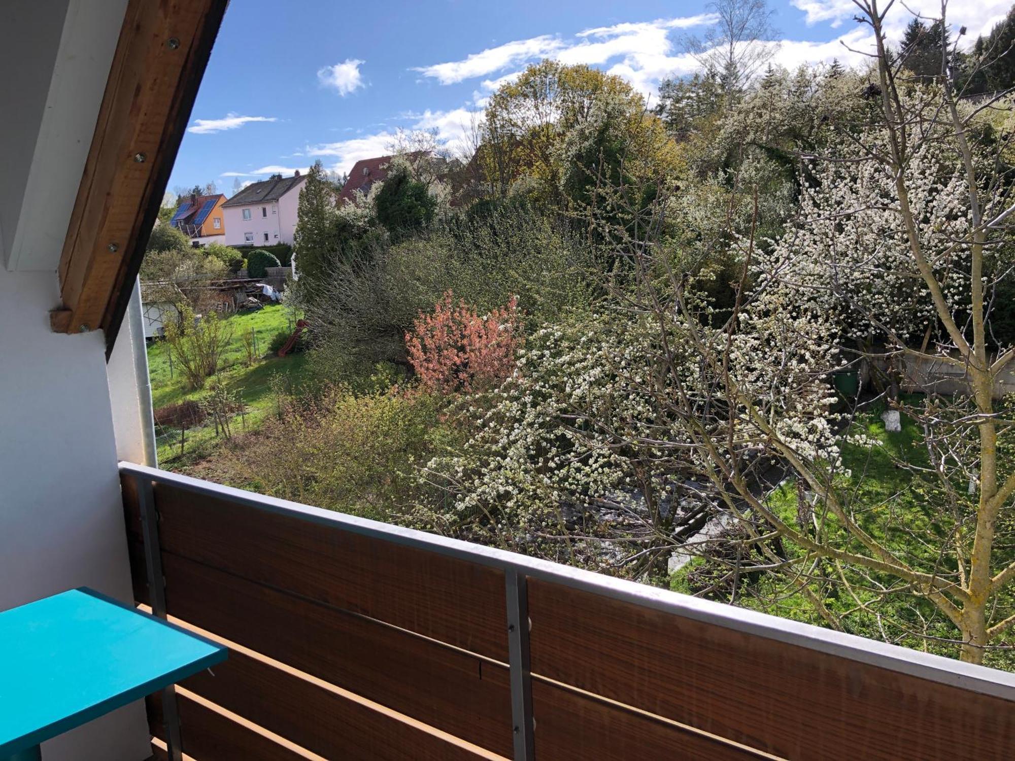 Blaues Zimmer Mit Grossem Balkon, Bad Ist Ein Traum, 50 Schritte Zum Radweg Am Main,Ideal For Short Stay Mainstockheim Esterno foto